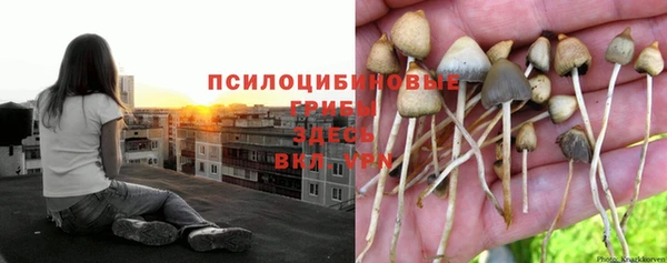 спиды Нефтегорск